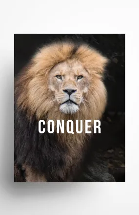 Conquer